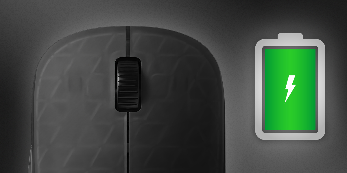 Endgame Gear XM2 8k v2 Gaming Mouse Dark Frost